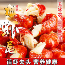 牛【🔥精品虾尾】新鲜龙虾尾自产自销净重5斤