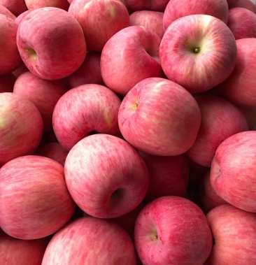 山东红将军苹果产地一手货源,口感脆甜可口,货源充足
