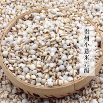 贵州薏仁米包化验产地直销