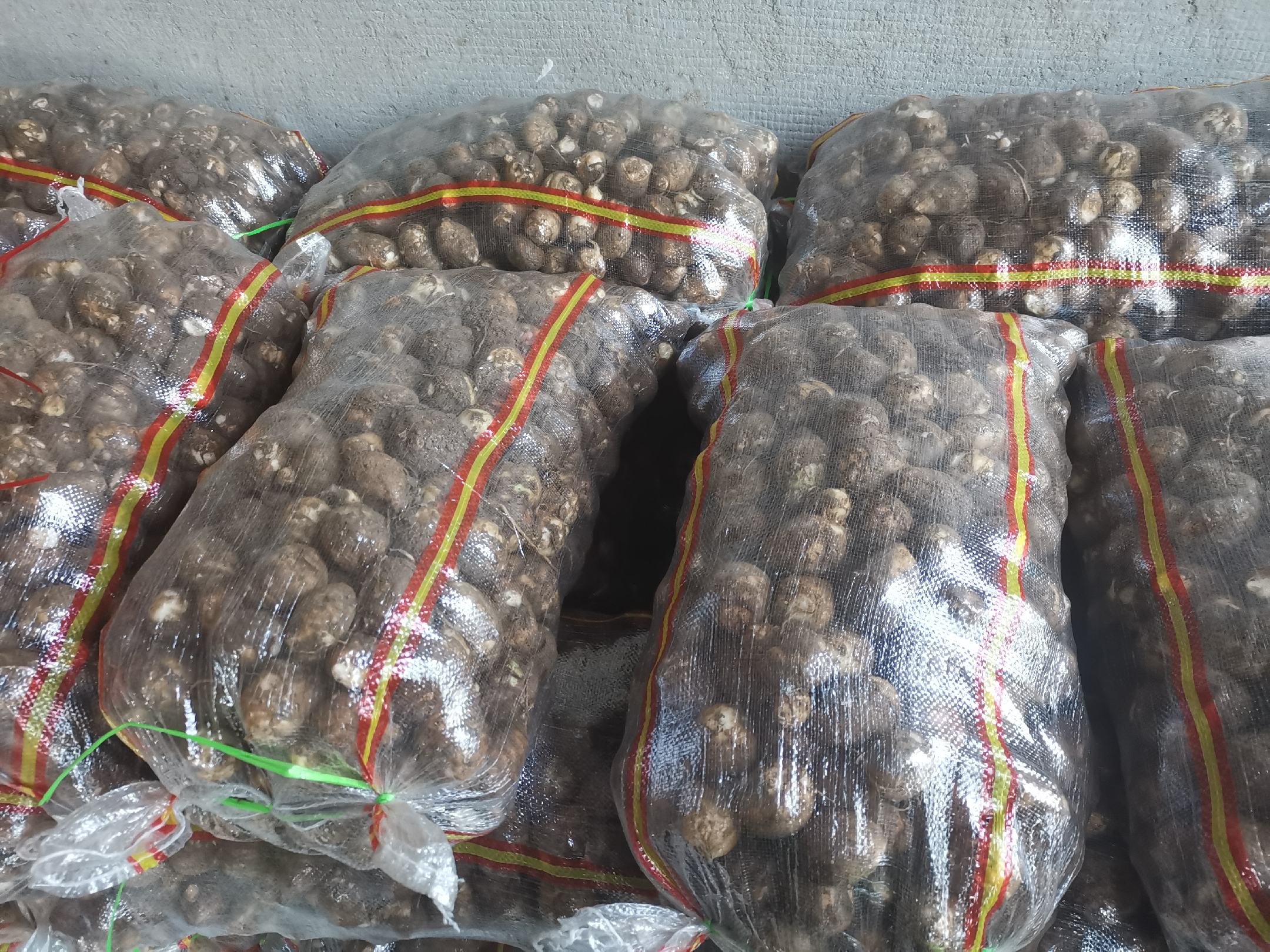 蒸好的毛芋头被分装在密封袋中,准备放入冰箱冷冻层,标签清晰标明日期和内容 冷冻毛芋头分装保存