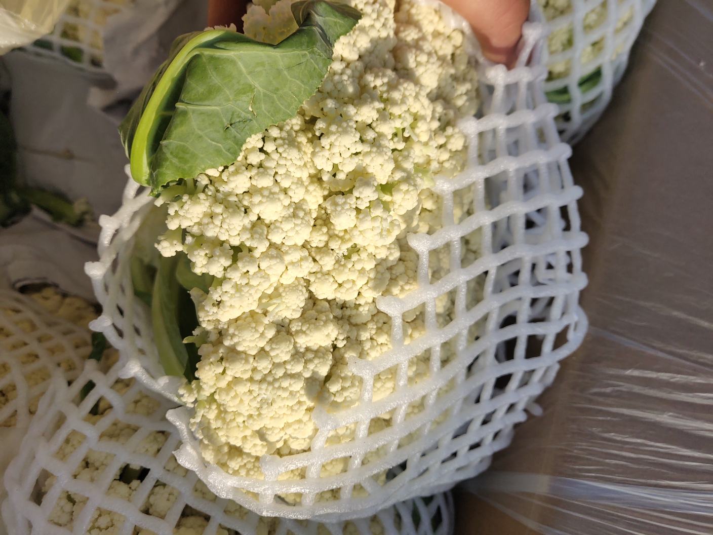 [菜花批发]精品有机花,青梗散花,超市专供发往南方各大市场.价格1.