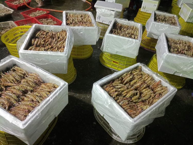 对虾在市场中被摆放在冰块上展示