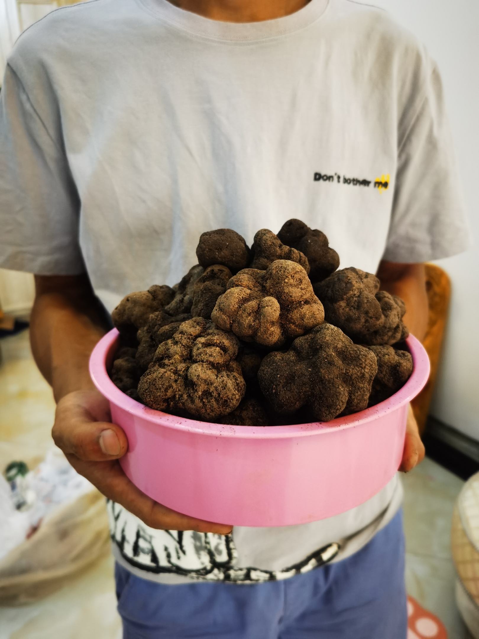 [隐孔菌批发]隐孔菌又名须元芝产地云南怒江大峡谷一手货源价格190.