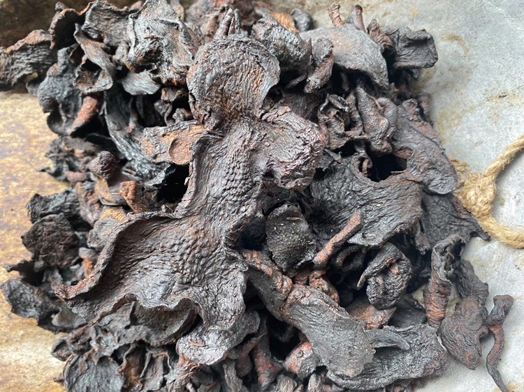 熟地黄药材特写