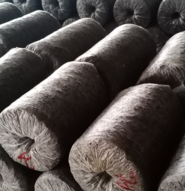 四季种植无公害食用菌平菇菌包