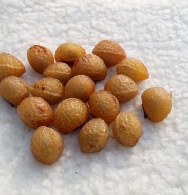 无患子,无患子种子,果皮,无患子果皮,精品无患子