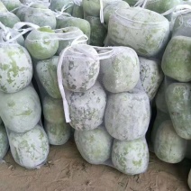 冬瓜，一串零，五到十斤，精品，供应市场，学府食堂。