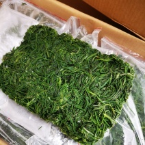 碱蓬菜黄须菜，酒店宴会食材拌凉菜做馅用，好吃