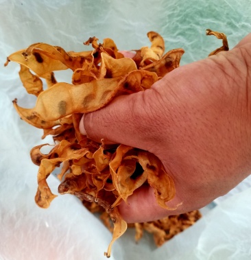 梅豆角,梅豆角干,火锅必备,火锅店,地锅绝配价格19.90元/斤 - 一亩田