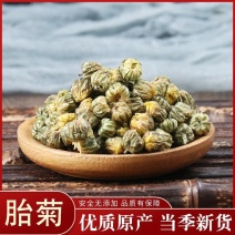 菊花胎菊花胎桐乡胎菊王杭白菊花草茶菊花