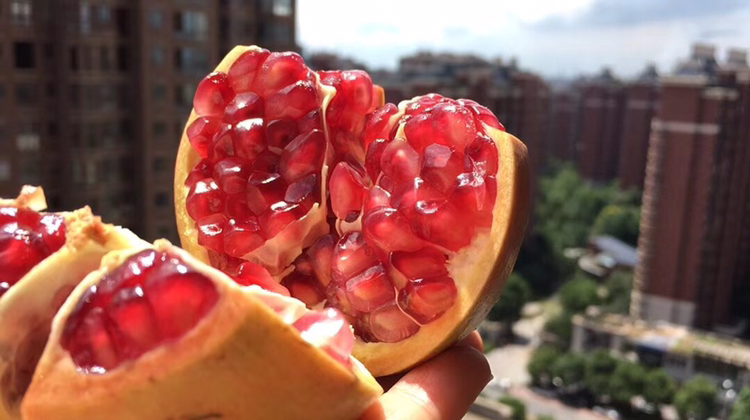 熟透的软籽石榴切开特写
