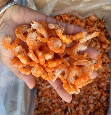 海米 对虾海米 产地直销 大量现货 批发不包运费