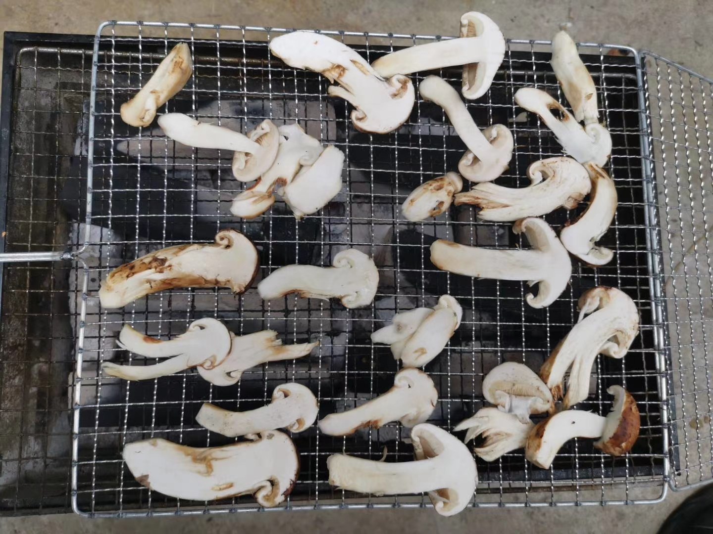 香格里拉松茸在高级料理中用于刺身和炭烤,展示其香气与口感 香格里拉松茸烹饪展示图