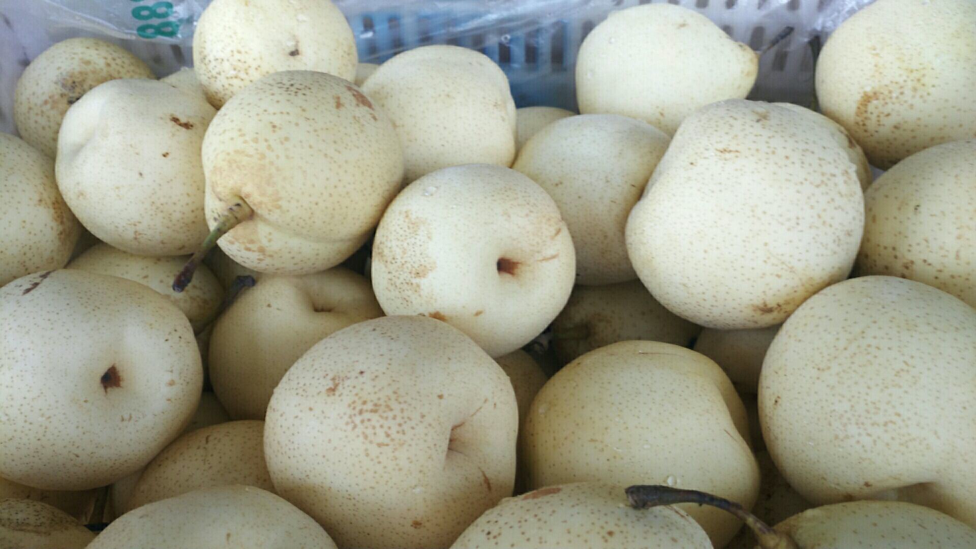 成熟野鸭梨果实特写