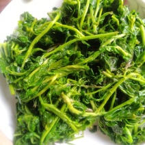 枸杞芽菜，自然生长，开春人工採摘。