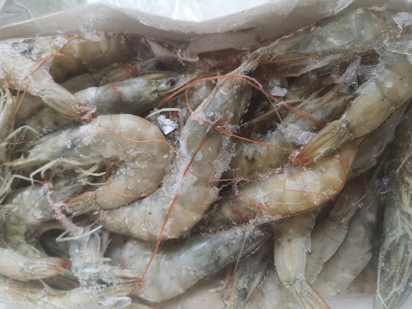 市场销售场景：超市冰鲜区陈列的明虾与包装对虾对比