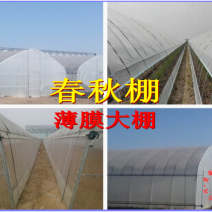 春秋棚冷棚单体拱棚插地棚薄膜蔬菜大棚昱泰温室大棚设计建设