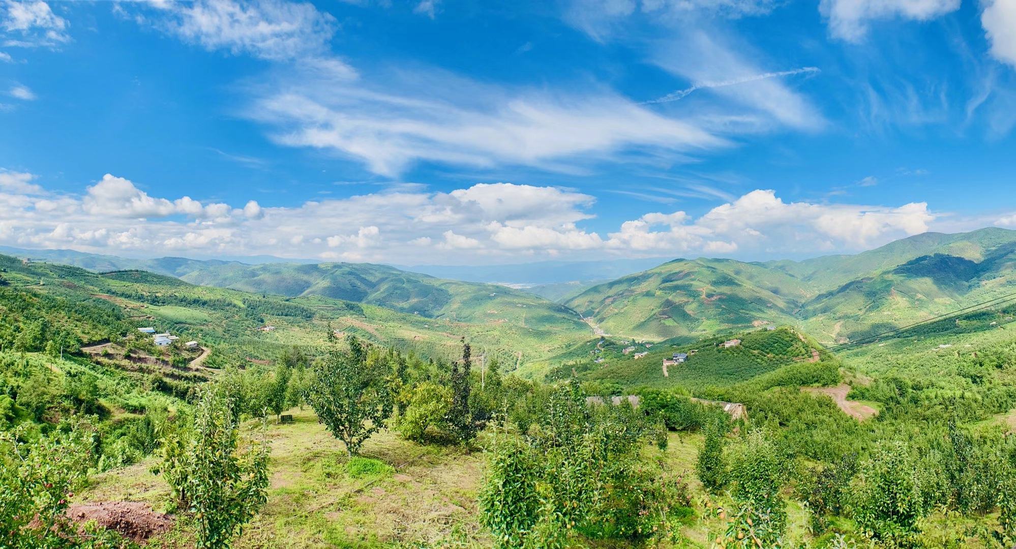 忻州梨核心产区地形与气候分布图