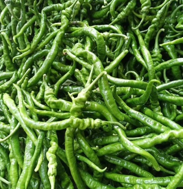 炮椒线椒罗丝椒冬枣