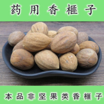 榧子一手货源产地直销