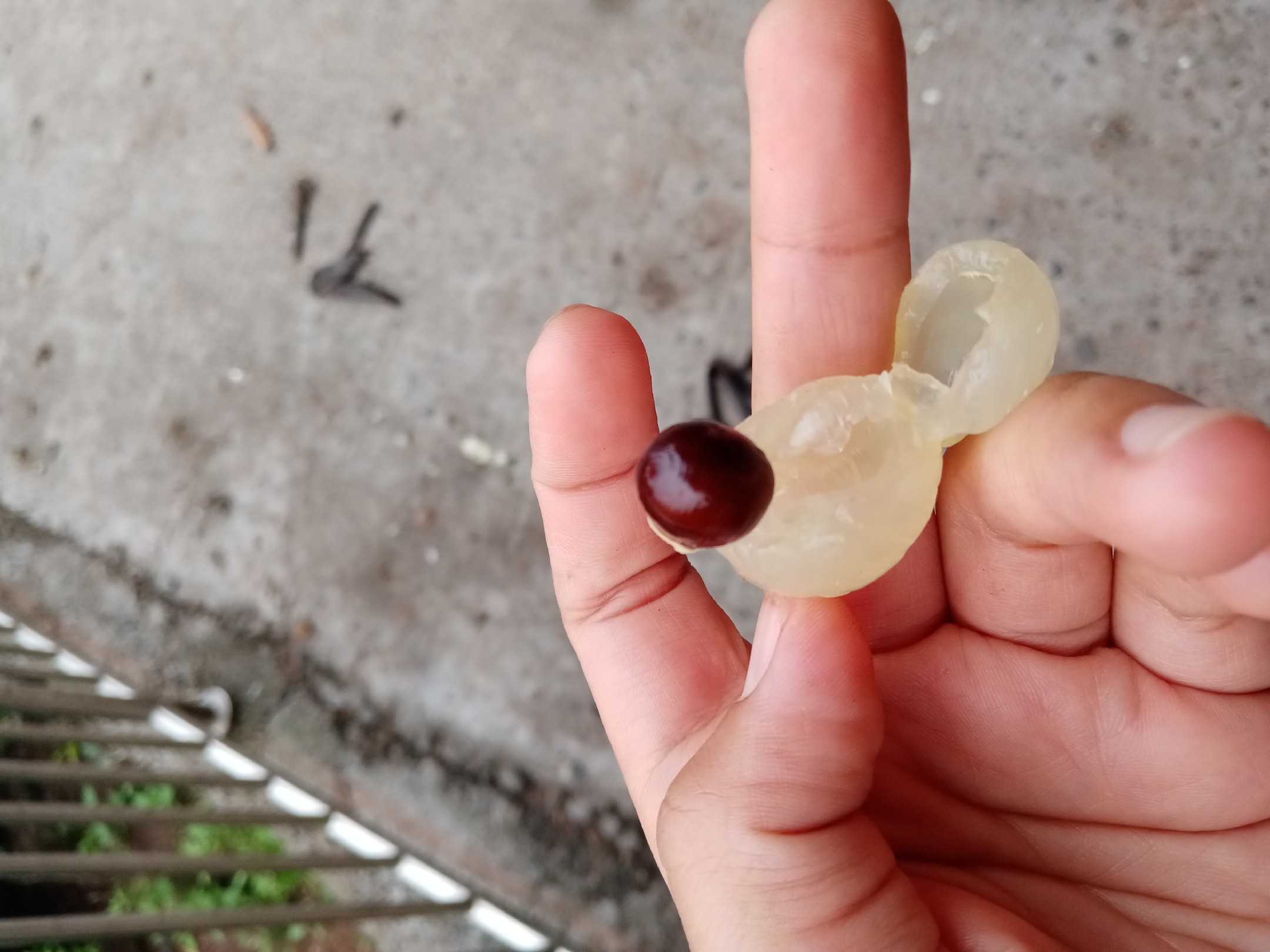 高清微距摄影:左侧为新鲜龙眼(果壳黄褐、薄而脆,果肉晶莹半透明,中心黑亮小核清晰可见);右侧为新鲜荔枝(果壳鲜红带龟裂纹、厚韧粗糙,果肉更厚实、乳白微带粉晕,核大且呈棕褐色。两者并置凸显形态、色泽、质地根本差异 龙眼鲜果与荔枝鲜果对比特写