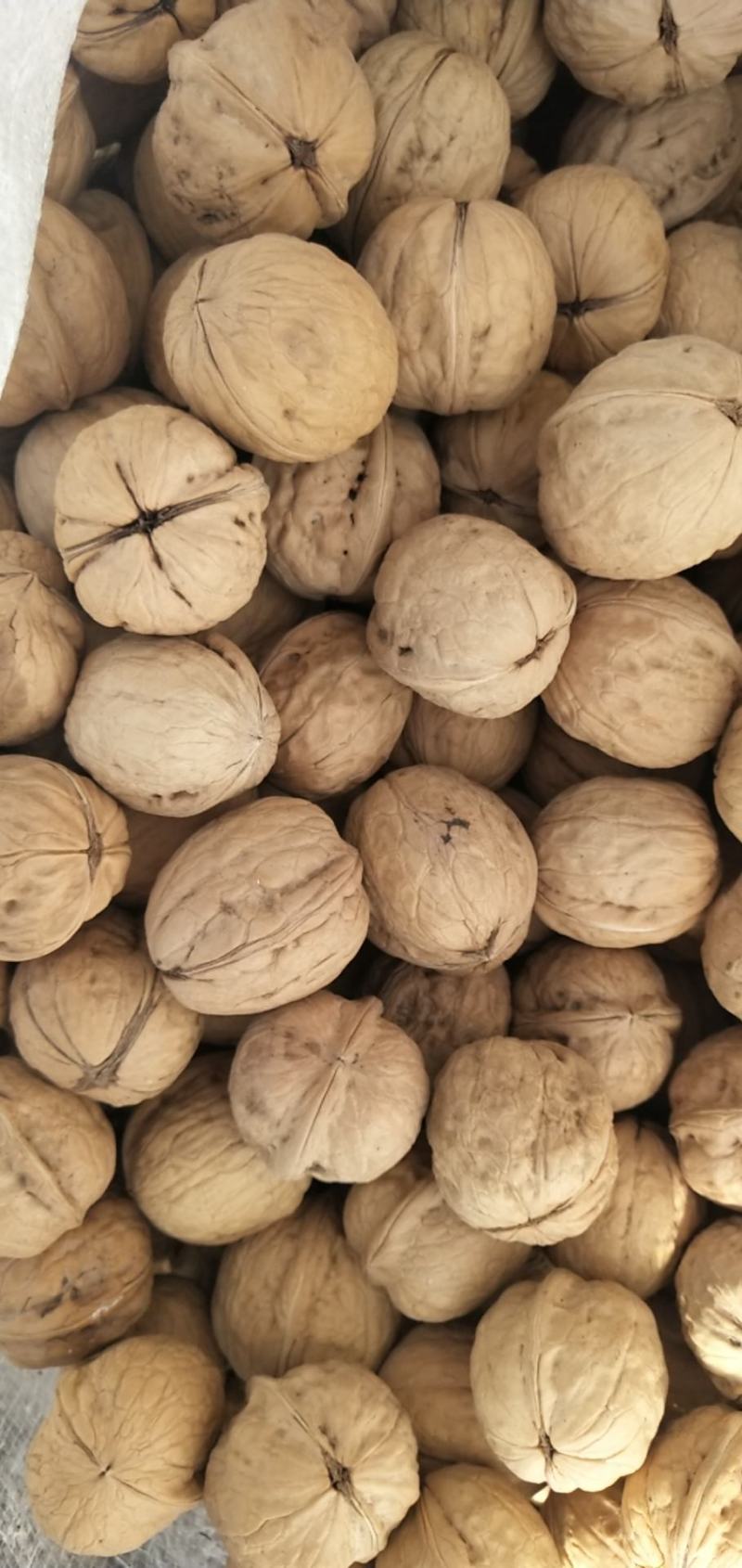 [薄皮核桃批发]河北石家庄赞皇县核桃 4.