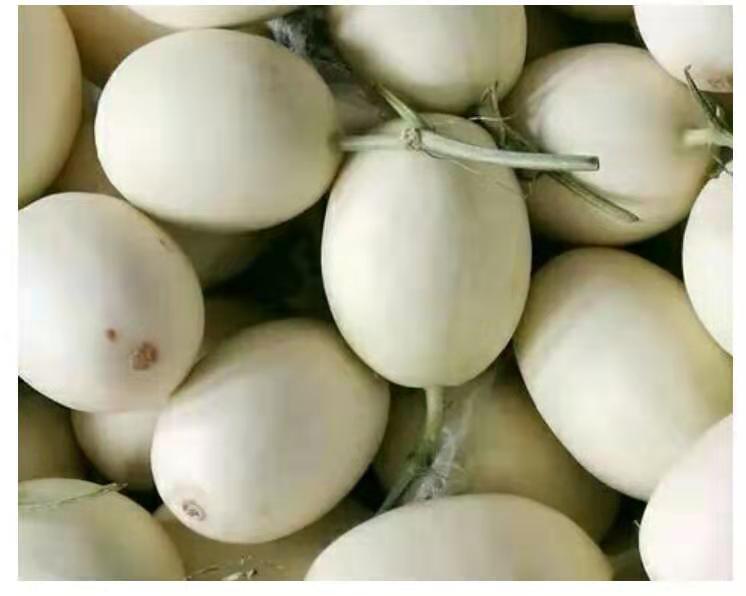 甜瓜切开露出内部种子结构