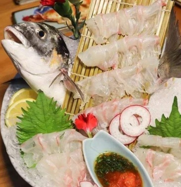 [批发][刺身食材]金头鲷鱼,日式刺身料理食材,冰鲜海鲜价格28.