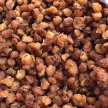 博白圆肉本地货有大量货源欢迎选购