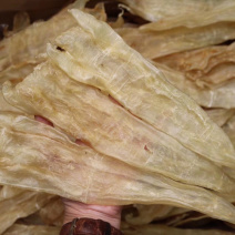特级10头阴阳肚鱼胶花胶水产干货批发代发送礼礼盒