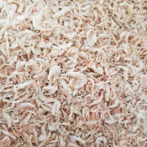 现有大量渤海湾虾皮，颜色漂亮，价格美丽，电商主打产品