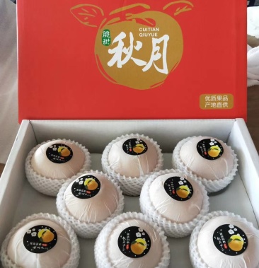 [秋月梨批发]正宗莱阳秋月梨礼盒批发单位福利团购 市