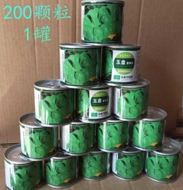 云南 通海特产 姜柄瓜种子200粒 包邮