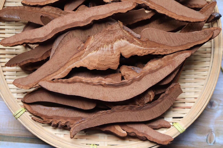 灵芝切片与搭配食材图