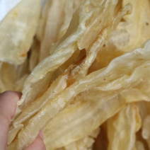 阴阳头大块厚肉白净鱼胶花胶水产干货批发代发