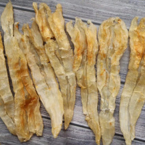 B10头阴阳肚鱼胶花胶水产干货批发代发送礼礼盒