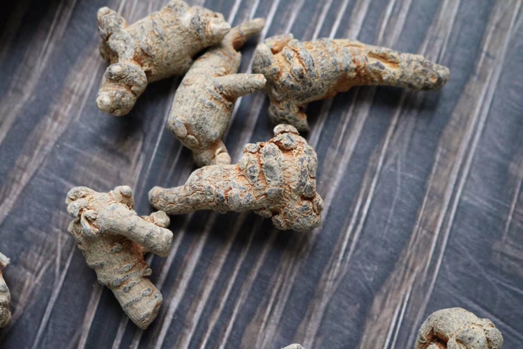 三七与陈皮实物图
