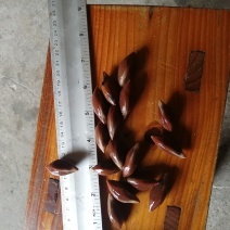 黑橄榄，油榄肉，！！