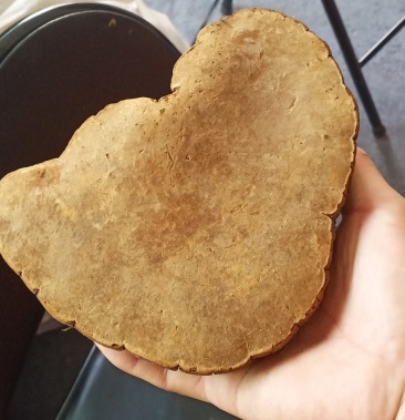 紫油桑黄野生紫油木桑黄