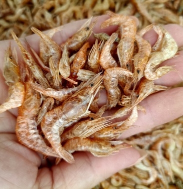 虾干淡水虾干晒虾颜色好干度靓