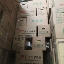 用过一次的鸡蛋纸箱便宜处理，捡趴活