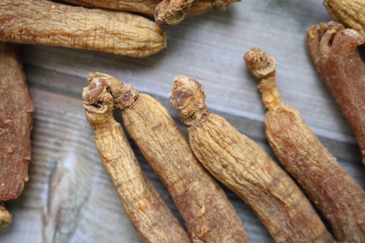 红参与黄参对比图