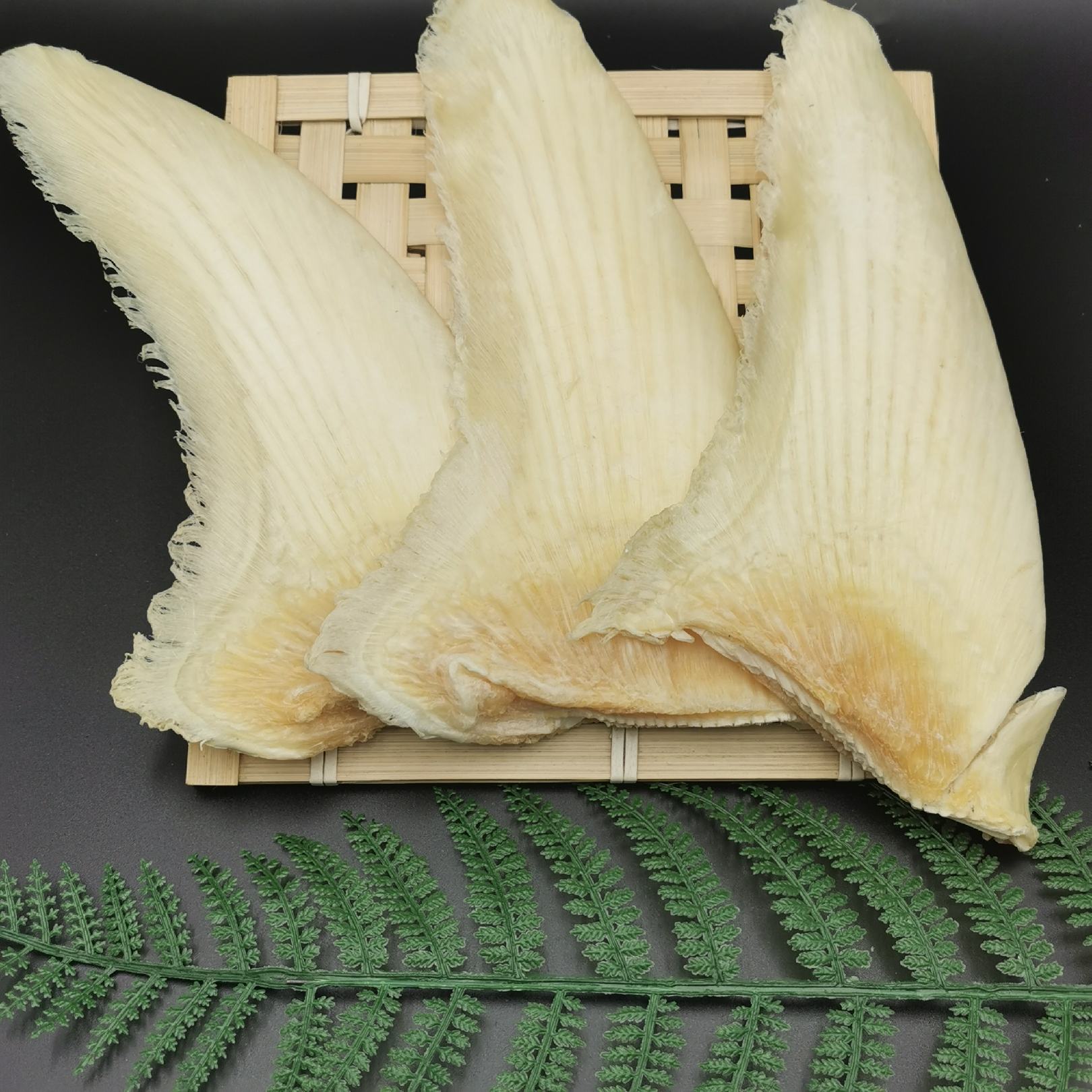 精选特大勿羊鱼翅12-14寸青片翅足干送礼高档批发价