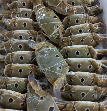 a级三点蟹(台湾海峡)多种规格