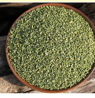 槐米一手货源产地直销