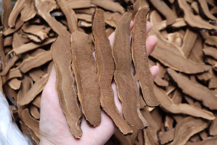 手工灵芝切片过程图：一双洁净的手正在操作小型不锈钢手动切片器，刀片正切入一块已回软的深褐色灵芝子实体，切口平整，旁置计时器显示"02:15"，背景为原木工作台与竹匾