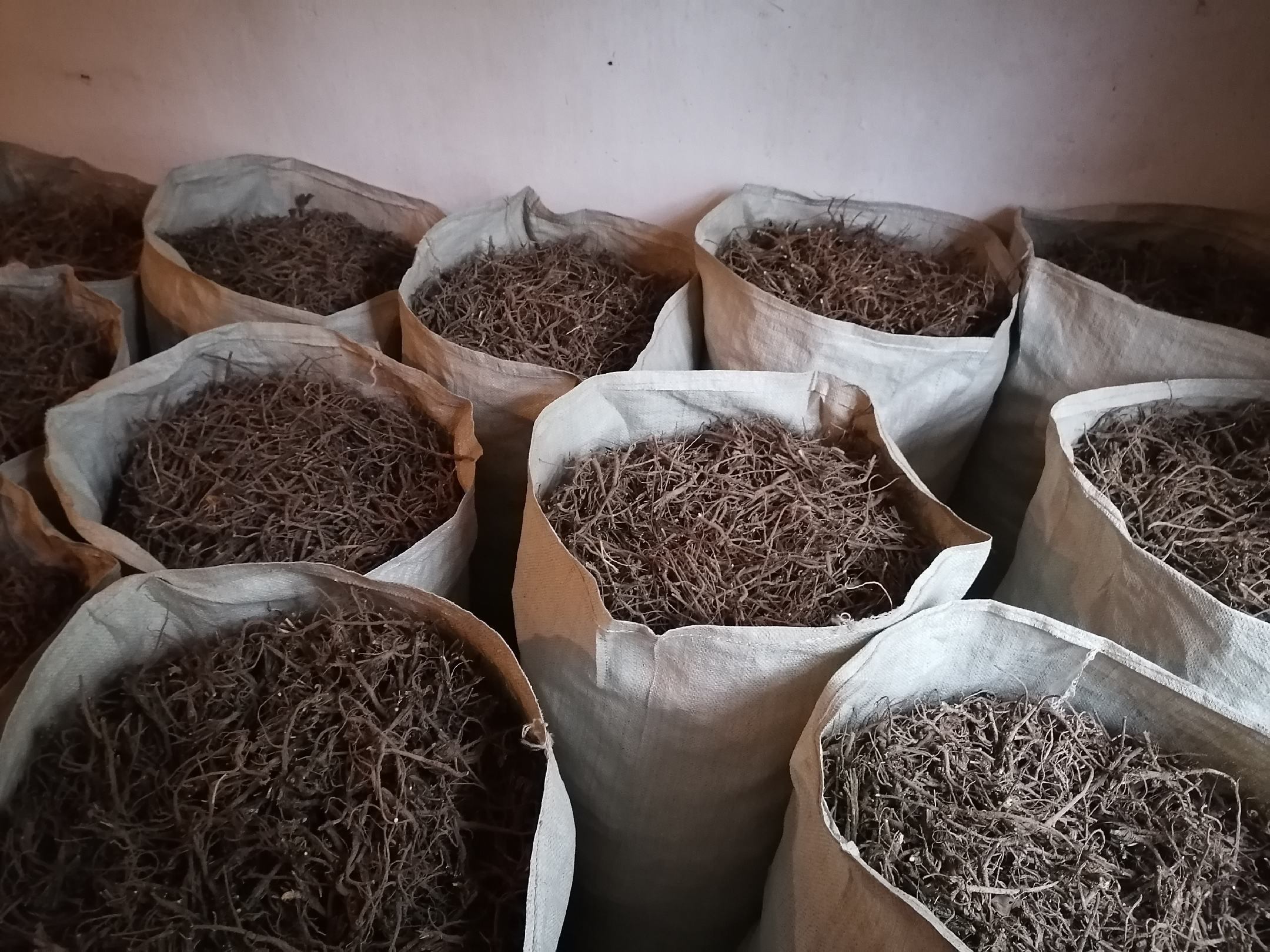 北柴胡成品药材与包装展示,包括密封袋装、罐装等储存方式 北柴胡产品包装与储存方法