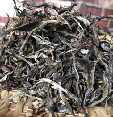 云南西双版纳勐海布朗古树茶