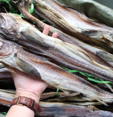 整条柴鱼干超香新鲜批发代发送礼礼盒装水产干货