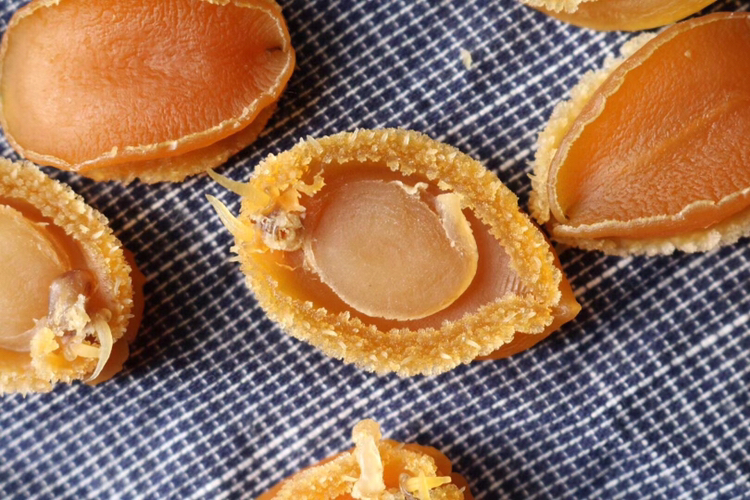 花蛤干泡发过程